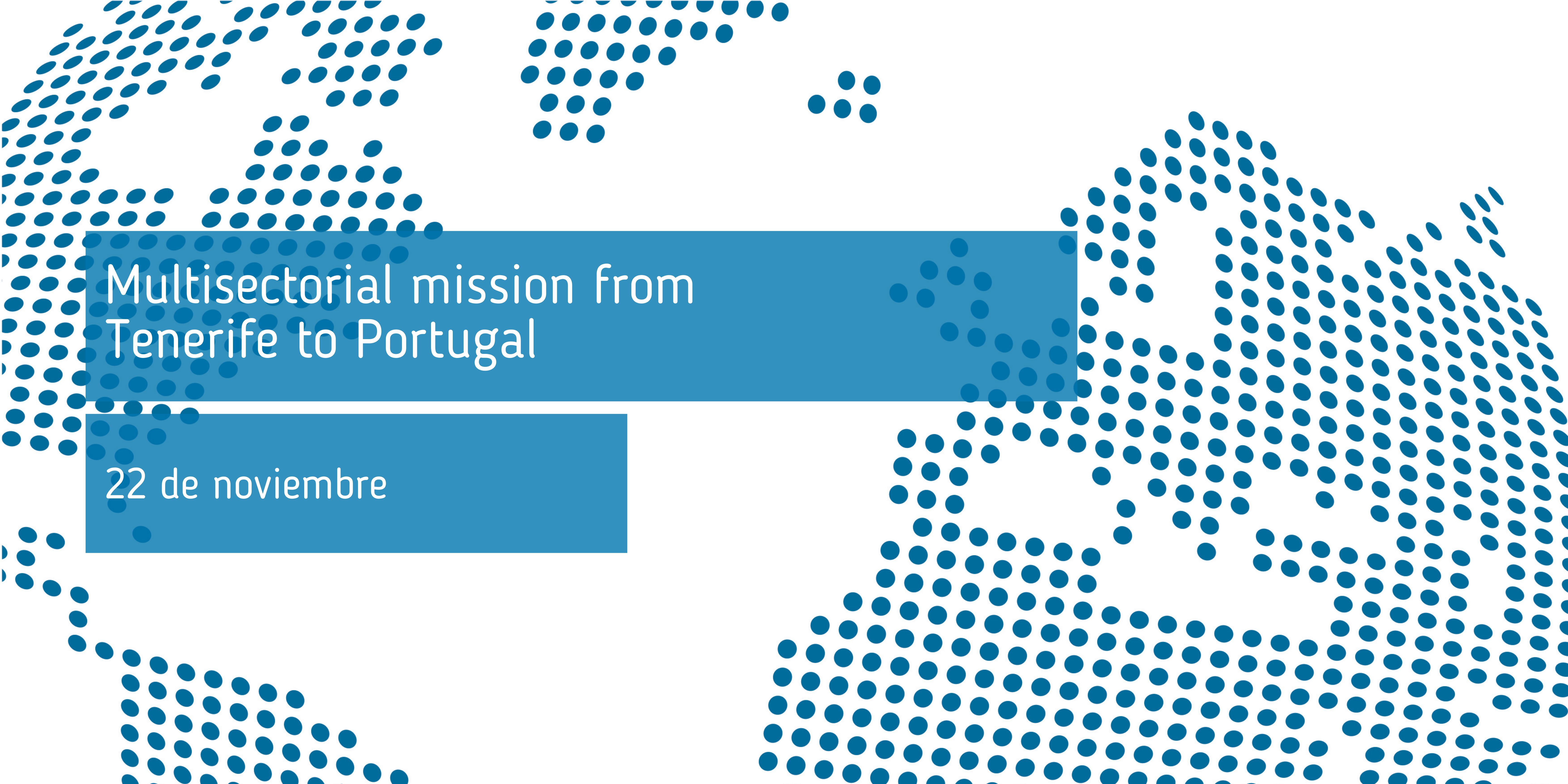 multisectorial_mission_from_tenerife_to_portugal