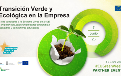 Descubra cómo implementar la transición verde y ecológica en su empresa