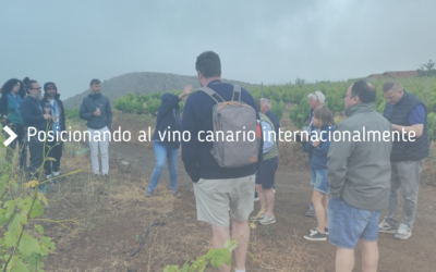 Importadores belgas, holandeses y británicos visitan Tenerife para profundizar en el conocimiento de los vinos canarios