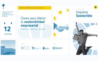 Claves para liderar la sostenibilidad empresarial